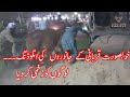 Khobsorat Bachron aur Bachiyon Ki Unloading | Sohrab Goth Mandi