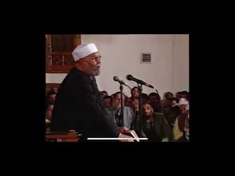 تفسير الشعراوي يخلق مايشاء 