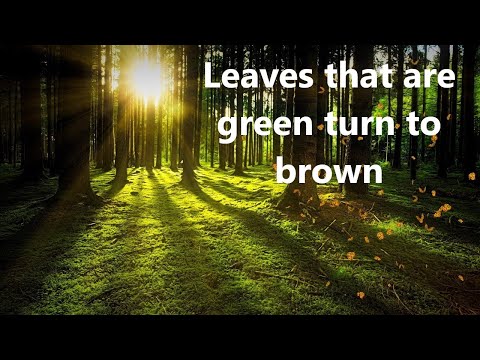 Simon & Garfunkel  Leaves that are green - live (with lyrics)