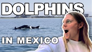 Wild Dolphin Encounter in Puerto Vallarta Mexico!!