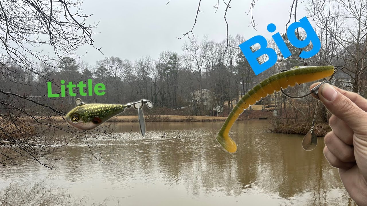 Bass Fishing ( I Forgot Something )
