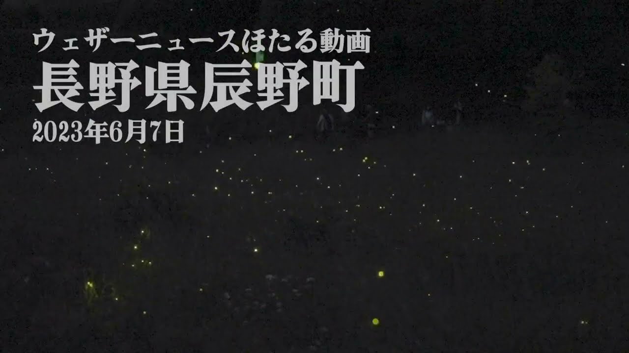 高感度撮影】ほたる絶景ムービー 長野県辰野町 2023.6.7 - YouTube