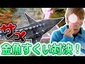 【ハイサイ探偵団】サメもいる？金魚すくい対決！何匹GETなるか！？【大量ゲット】
