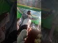 الرشيد ول الميداح الرشيد ول الميداح