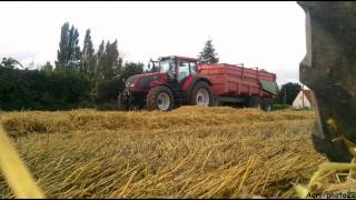 Moisson 2010 / Harvest