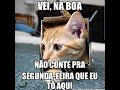 Meme do dia | #trending #Shorts #viral #fyp #viagem #casalcomédia #funny #humor #frases