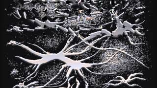 Ode to a Brain Cell Film
