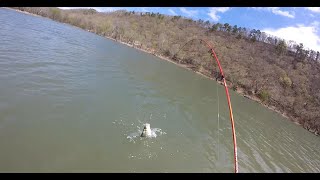 Catching LOTS of White Bass in Oklahoma on 4-5-2021