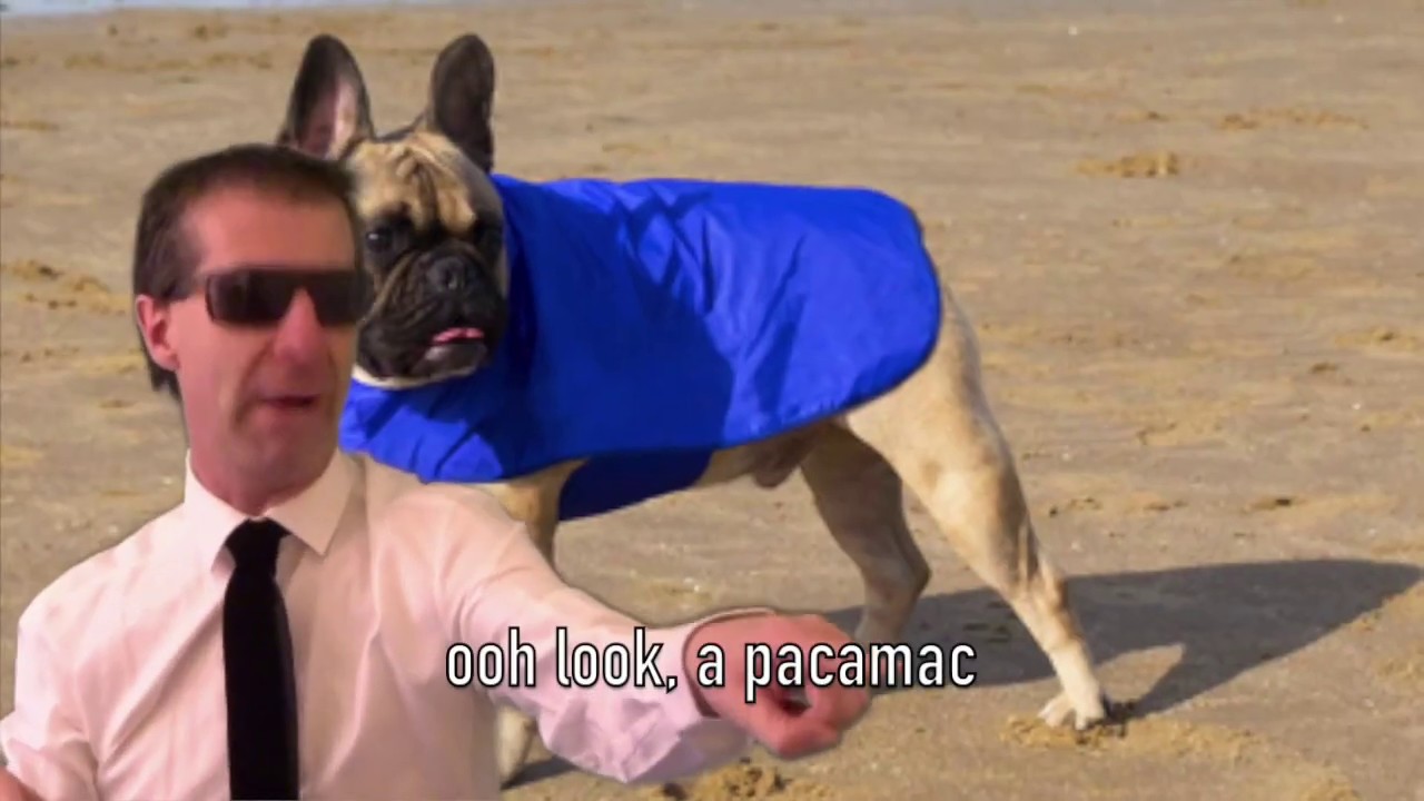 My Friday Night (a parody of Stuck in the Middle With You)