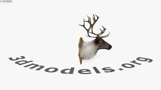 Deer Head 3D model by 3DModels.org