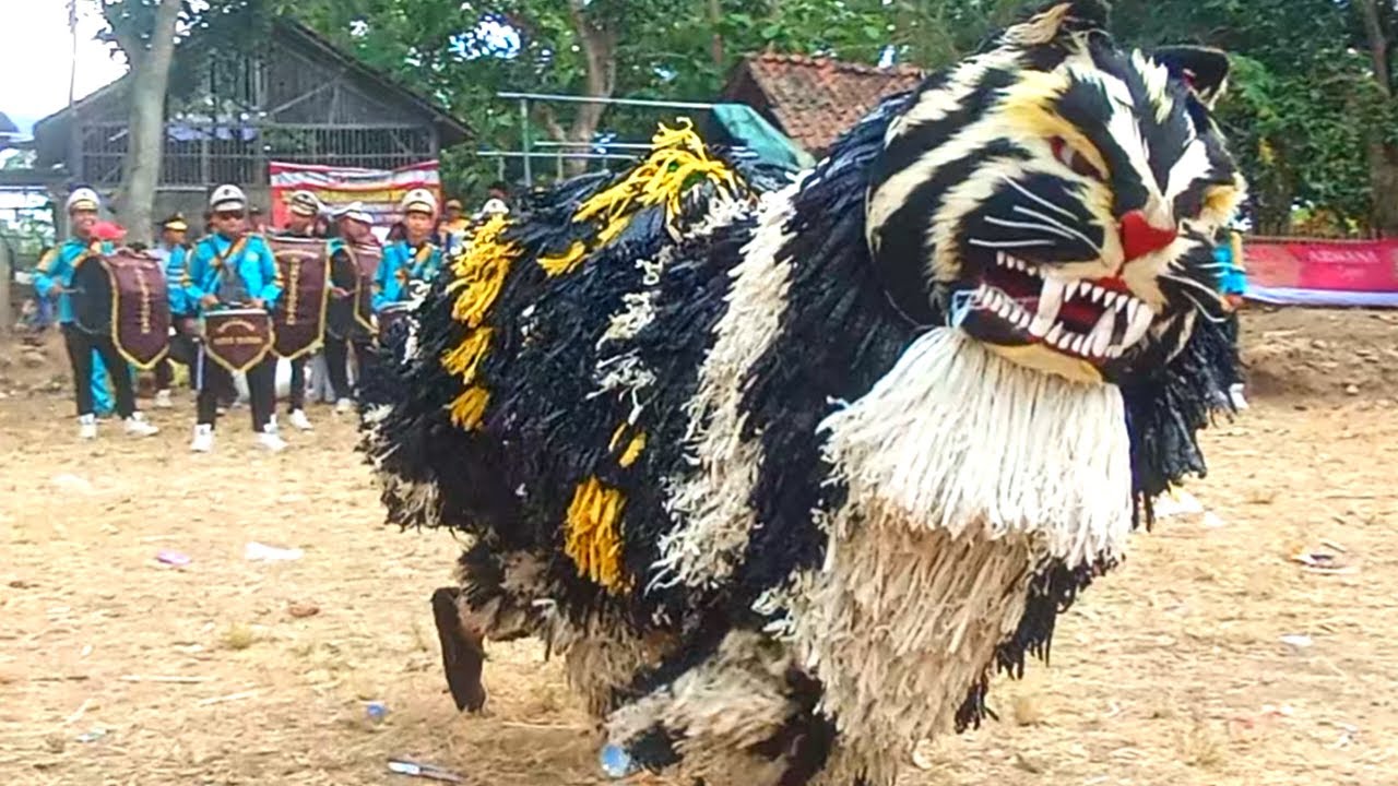 ini Seru!! MACAN BA LAKEK diiringi DRUMBAND ba lakek salto salto penonton jerit jerit