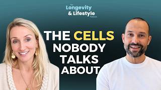 Your Brain Is More Than Neurons – The Cells Nobody Talks About