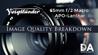 Voigtlander Macro Apo Lanthar 65mm F 2 Iq Breakdown 4k Youtube