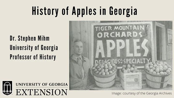 History of Apples in Georgia