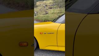 #s2000 #hondas2000 #ap1 #f20c #vtec #jdm #jdmcars #touge #carcinema #boundlessautos #shorts