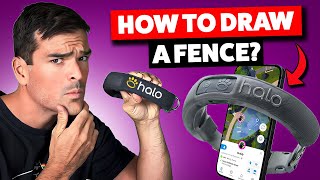 How To Set Up Fences With The Halo Collar 3 (Not Too Small!)