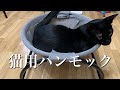 【Cat hammock】猫用ハンモックのレビュー：Hammock reviews for cats