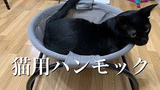 【Cat hammock】猫用ハンモックのレビュー：Hammock reviews for cats