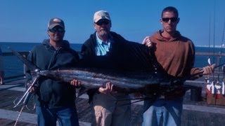 Sailfish Fishing Off the Okaloosa Island Pier Fort Walton Beach & Destin Florida Fishing How to