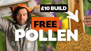 How To Build A Pollen Trap - It's SO Simple!