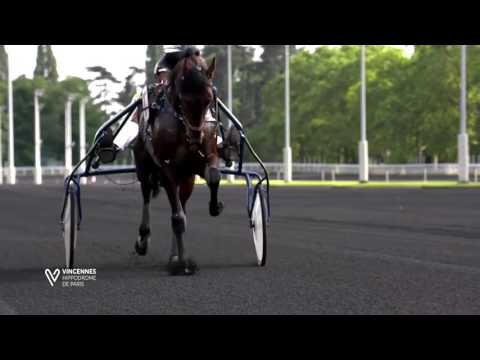 Le TROT en HIGH SPEED