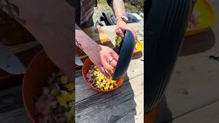 Camping Mango Shrimp Ceviche Recipe | Easy No-Cook Camp Meal + UCO Gear