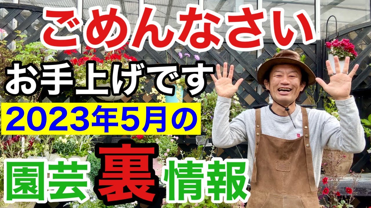 元店長がばらす】2023年5月買って得する物損する物教えます 【カーメン