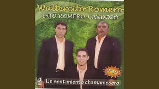 Video thumbnail of "Waltercito Romero - LA Paye Guazu"