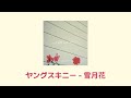 ヤングスキニー - 雪月花 / 영스키니 yangskinny - 설월화 [가사/해석/발음]