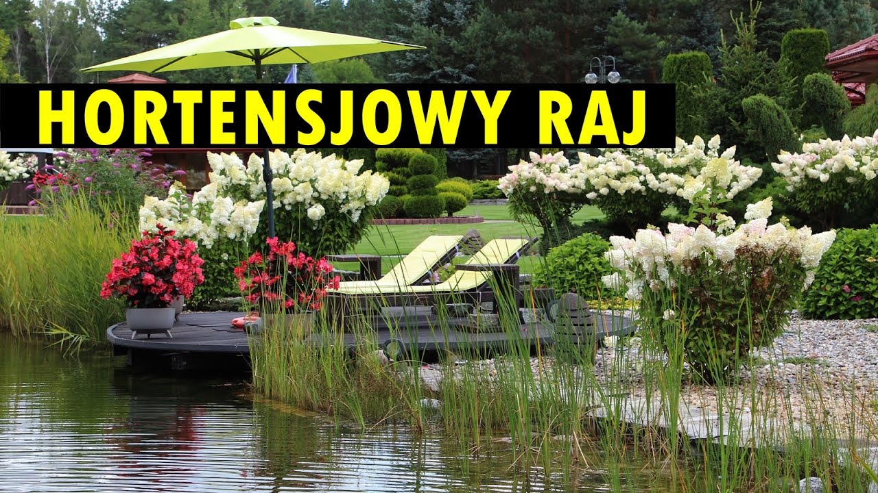 Hortensjowy raj i elegancja w dużym, pięknie zagospodarowanym ogrodzie