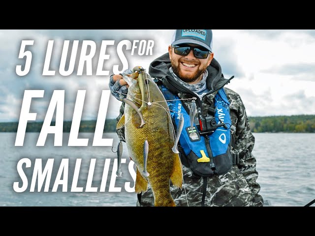 5 Lures You NEED for Fall Smallmouth Fishing 