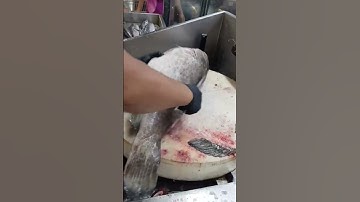 Amazing Big Grouper Fish Clean Skill#youtubeshorts #shorts #short