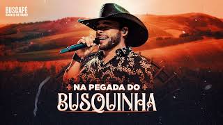 Quero ver sem roupa - CD NA PEGADA DO BUSQUINHA