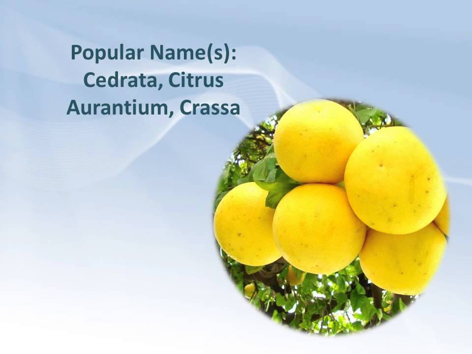 How grapefruit can control stomach upset? YouTube