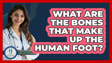 What Are The Bones That Make Up The Human Foot? - Orthopedic Support Network