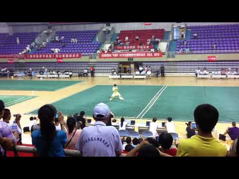 Aaronliang_2012武术比赛