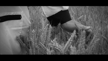 Tëschegas (featuring Freshdax) - Huldang gesinn a stierwen