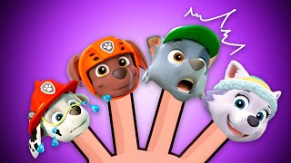 Family Paw Patrol + Baby Shark + More Nursery Rhymes | Max & Sofi Kinderwood