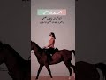 عهد إرم وإعجاز ذات العماد ستوريات اكسبلور مقاطع