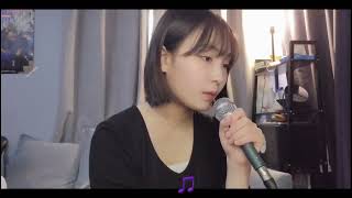 김철수 씨 이야기 - 허회경 cover