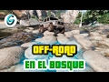 Off Road en el Bosque - GTA V MODS