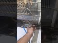 اسباب حراره الفلتر للثلاجه وكيف يتم ضبطه اسباب حراره الفلتر للثلاجه وكيف يتم ضبطه