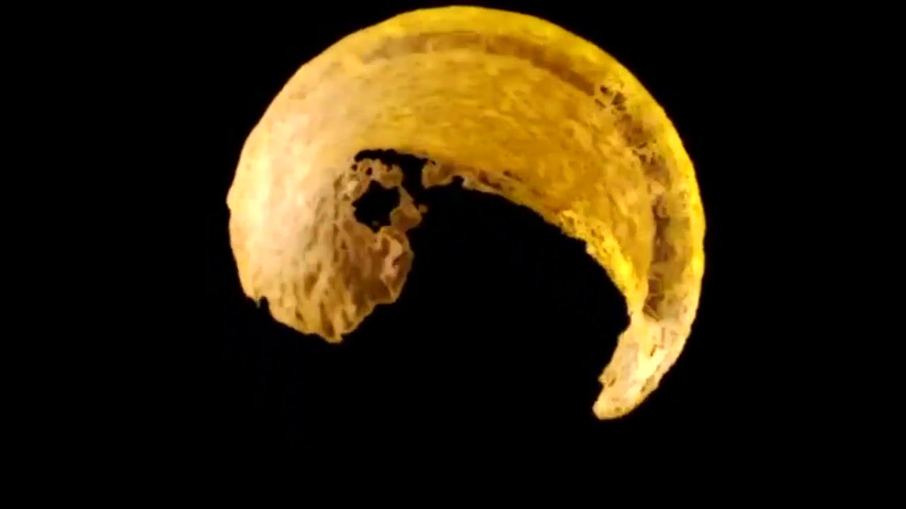 Movement Mapping - Light