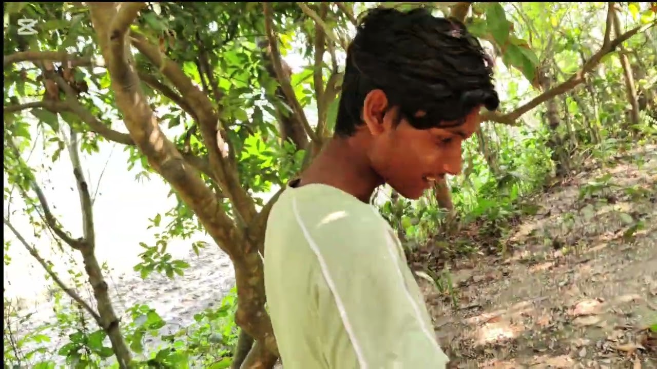 মিনি অ্যামাজন চ্যানেলের ফার্স্ট ভিডিও সবাই সাবস্ক্রাইব  🙏🥰🥰🥰🙏🙏