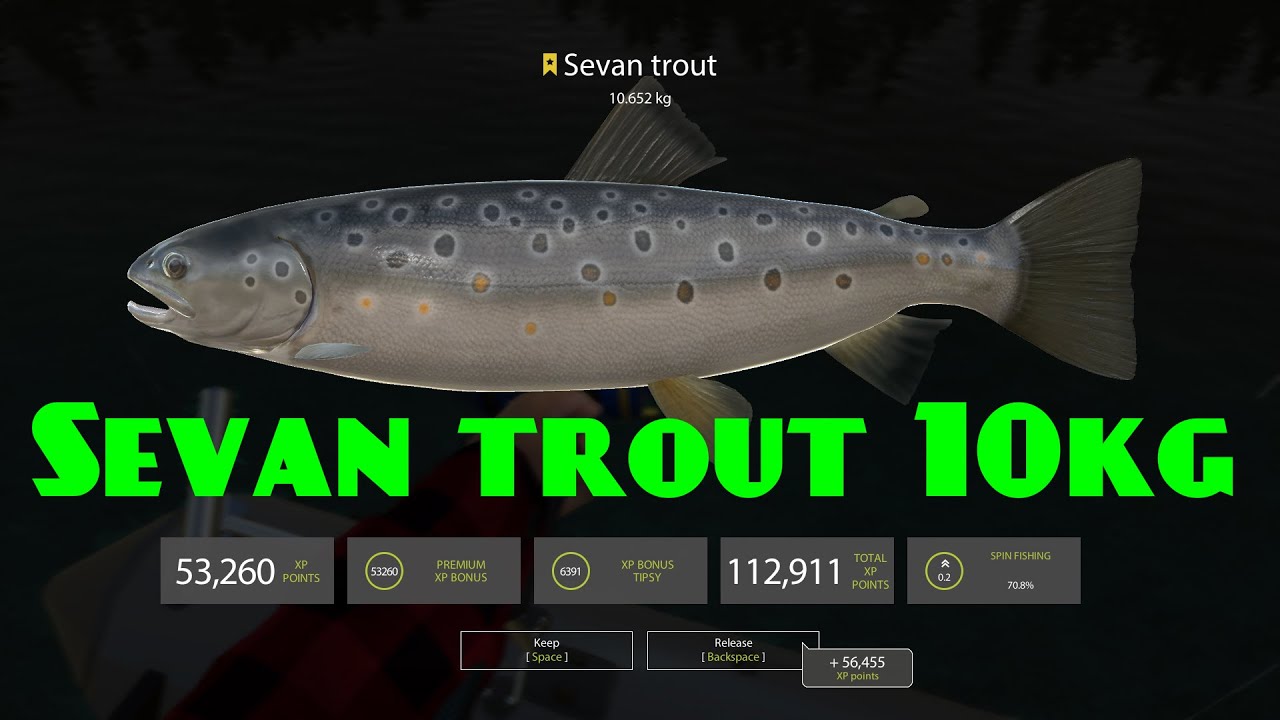 Sevan trout trophy 10+kg at Kuori Lake