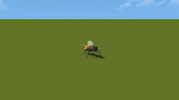 Fly Root Motion Demo