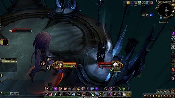 Rogue vs Elder Longbranch in Torghast 5th wing.