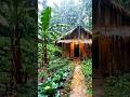 Village Rain + Koi Pond Sounds 🐟💧 | Ultimate Peace