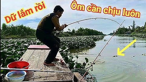 Run tay ôm cần đụng cá tra khủng - Những chuyến câu cá hồi hộp của Nguyên Khôi TV