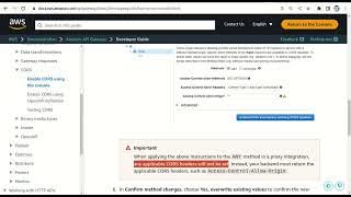 solved: aws api gateway ignores cors settings